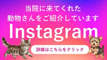 当院に来てくれた動物さんをご紹介しています