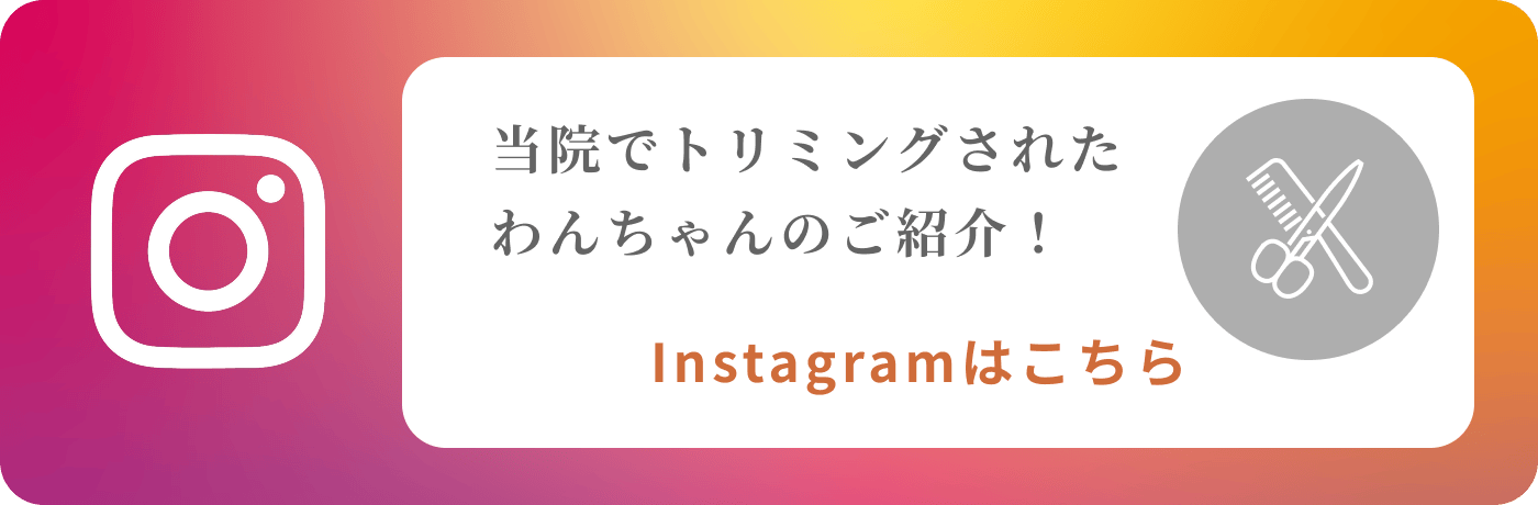 木場パークサイド動物病院instagram